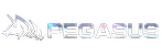 pegasus